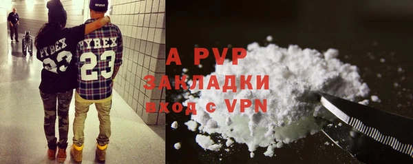 индика Краснотурьинск