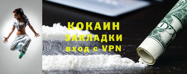 индика Краснотурьинск