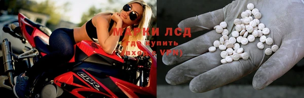 индика Краснотурьинск