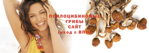 индика Краснотурьинск