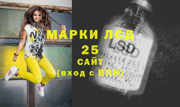 индика Краснотурьинск