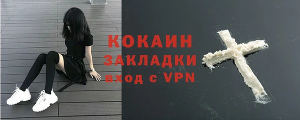 индика Краснотурьинск