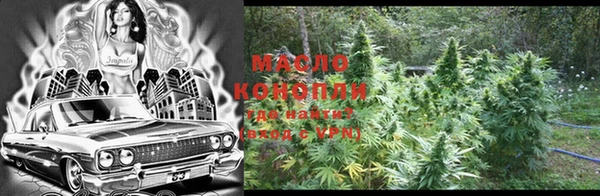 индика Краснотурьинск