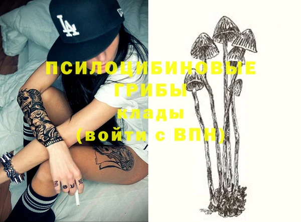 индика Краснотурьинск