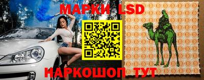стаф Канаш