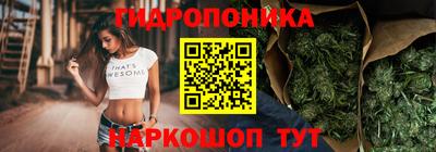 СК Кандалакша