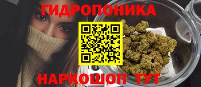 СК Кандалакша