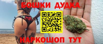СК Кандалакша
