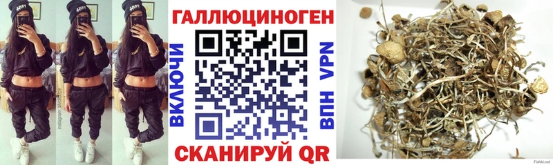 Галлюциногенные грибы Psilocybe Нефтеюганск