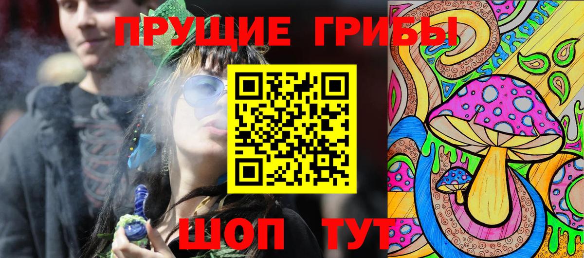 Псилоцибиновые грибы Psilocybe  Нефтеюганск 