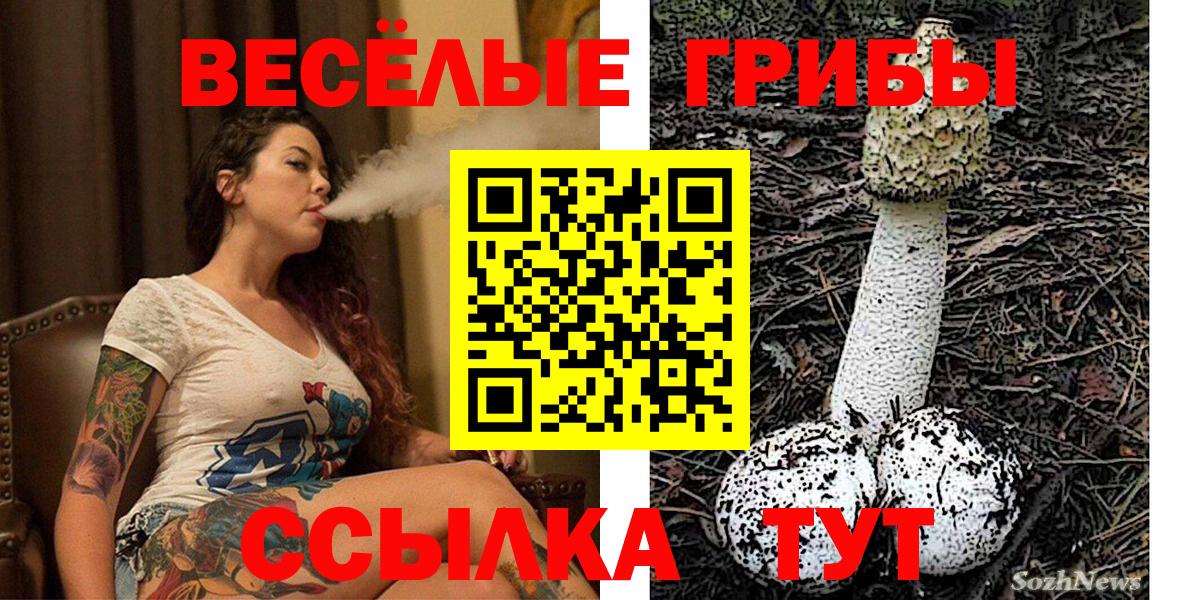 Галлюциногенные грибы Psilocybe Нефтеюганск